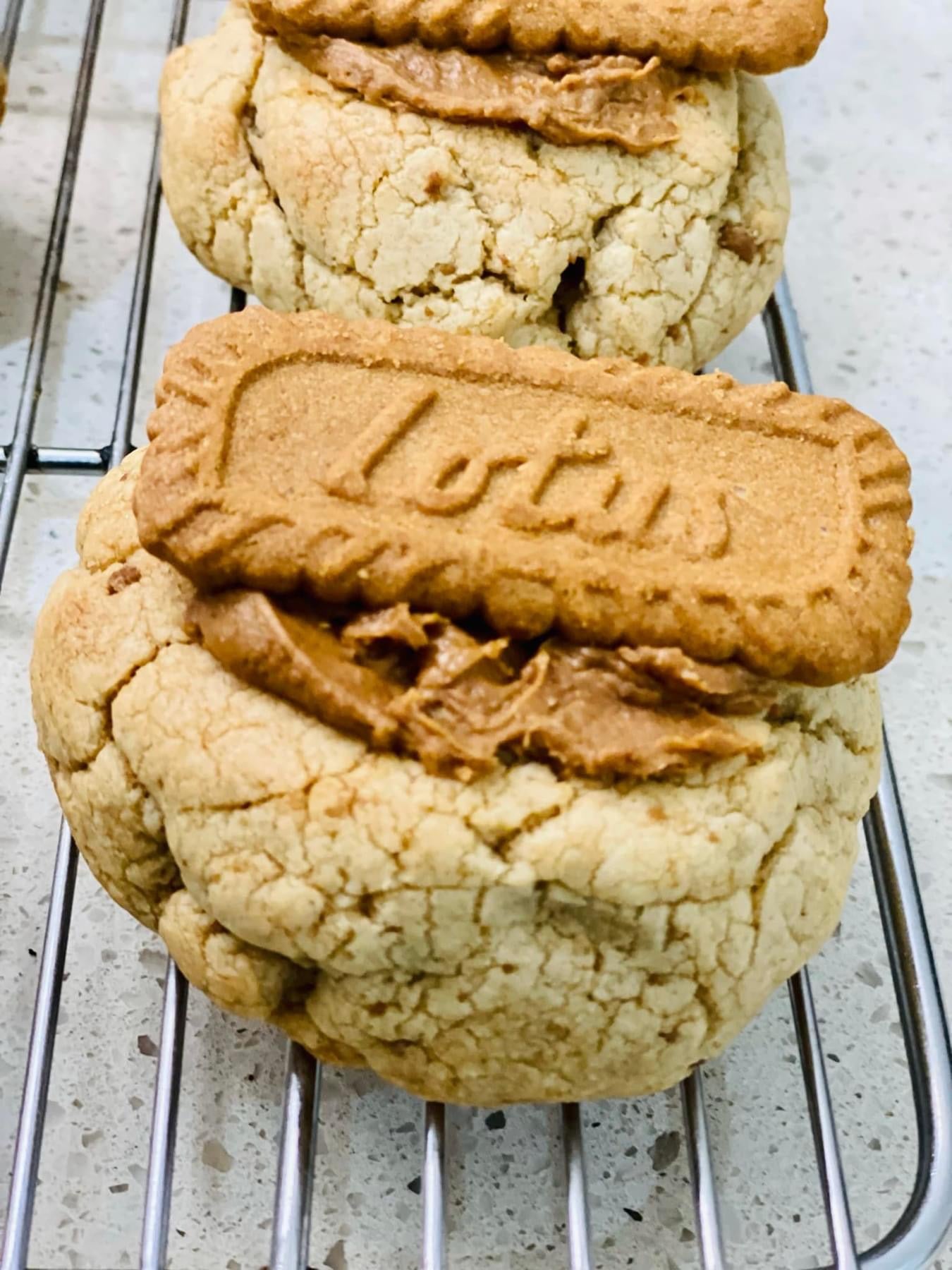 Speculoos Biscoff Bliss